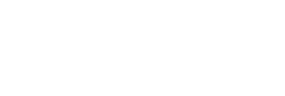 Svanelectro